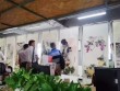 2016首届书画展|吸引慕名来访书画爱好者