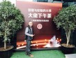 智慧与经验分享，泉商大佬下午茶
