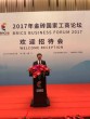 Brics business form 2017 Xiamen china