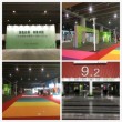 Green Expo design and show in Canton Fair exhibition center